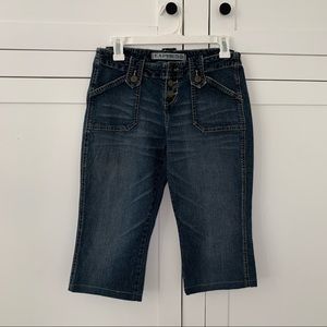 Express Y2K Low Rise Mid Shorts Size 2